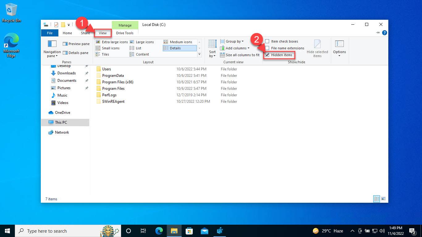 How To Show Hidden And Protected Files And Folders In Windows 11/10