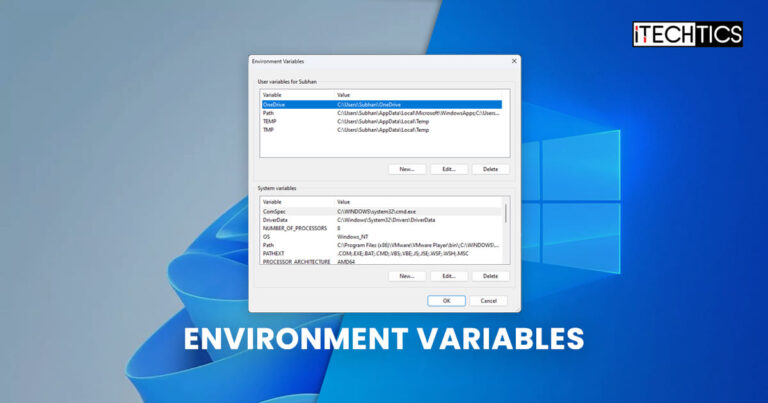 Windows Environment Variables